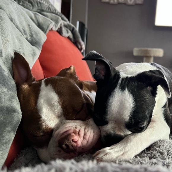 Meet your Posher, Amy - Picture 2 of 4